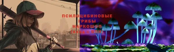амф Абинск