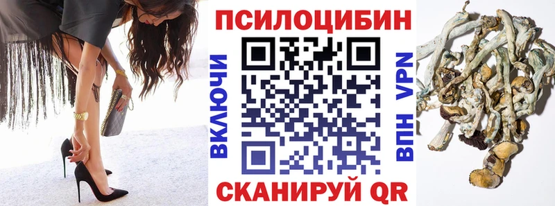 hydra ссылки  Болотное  Псилоцибиновые грибы мухоморы 
