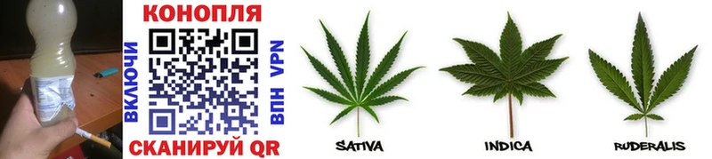 наркошоп  МЕГА маркетплейс  МАРИХУАНА LSD WEED  Болотное 